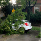 Image for article titled Chicago PD Condemns Black Lives Matter For Creating Violent Vortex Of Wind That Destroyed Property